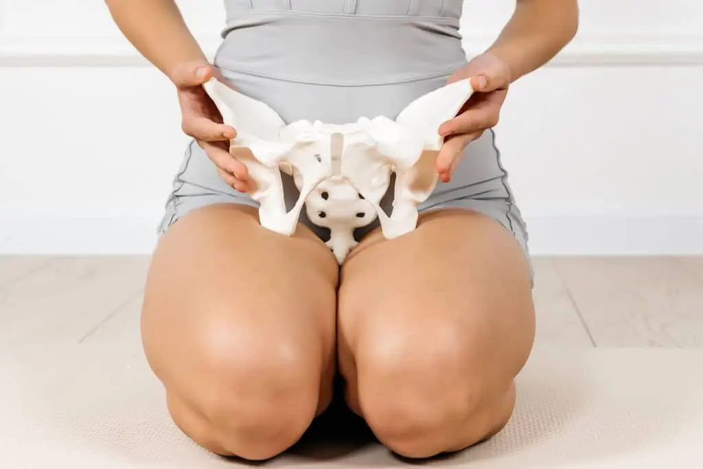 Pelvic floor dry needling