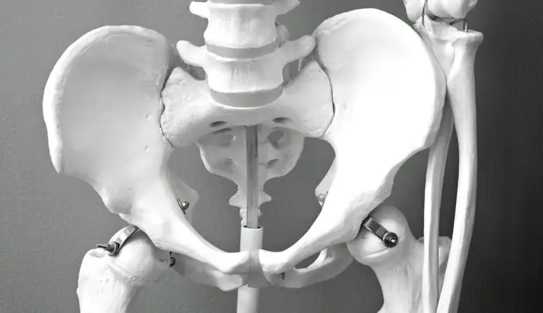 The Silent Struggle: Surprising Statistics Reveal the Truth About Men’s Pelvic Health