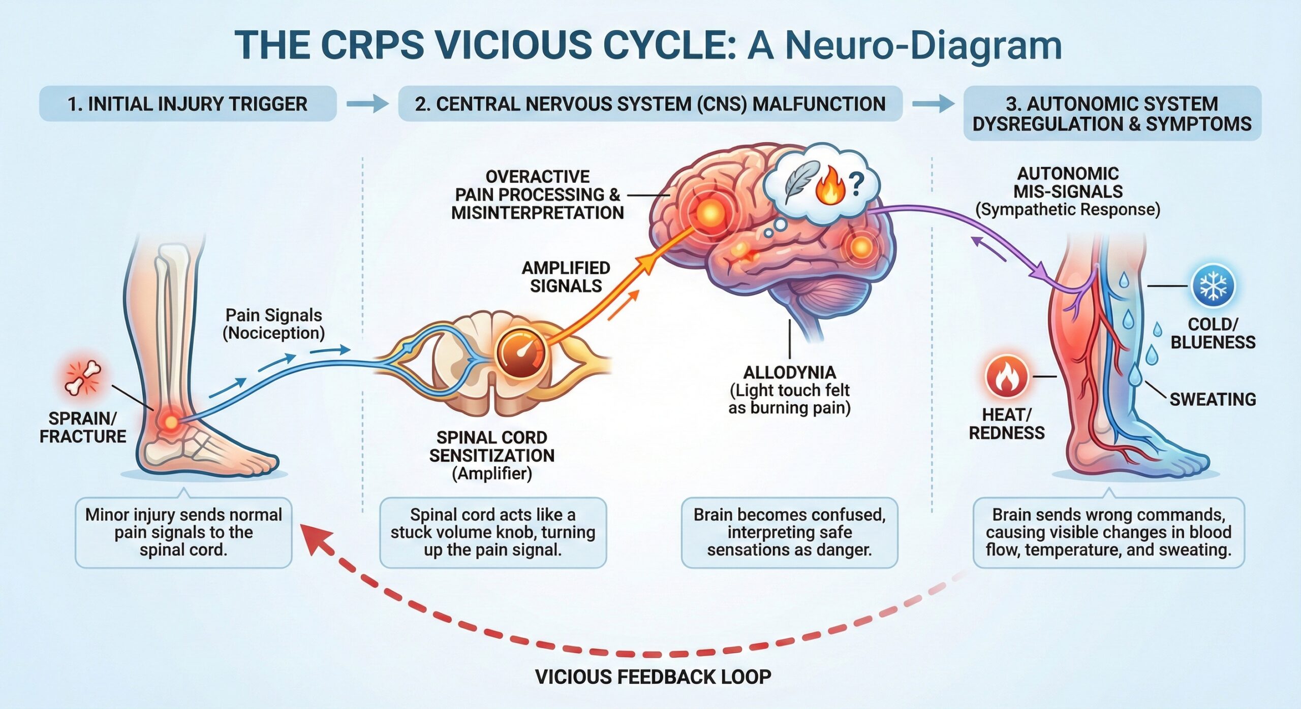 CRPS Feedback Loop