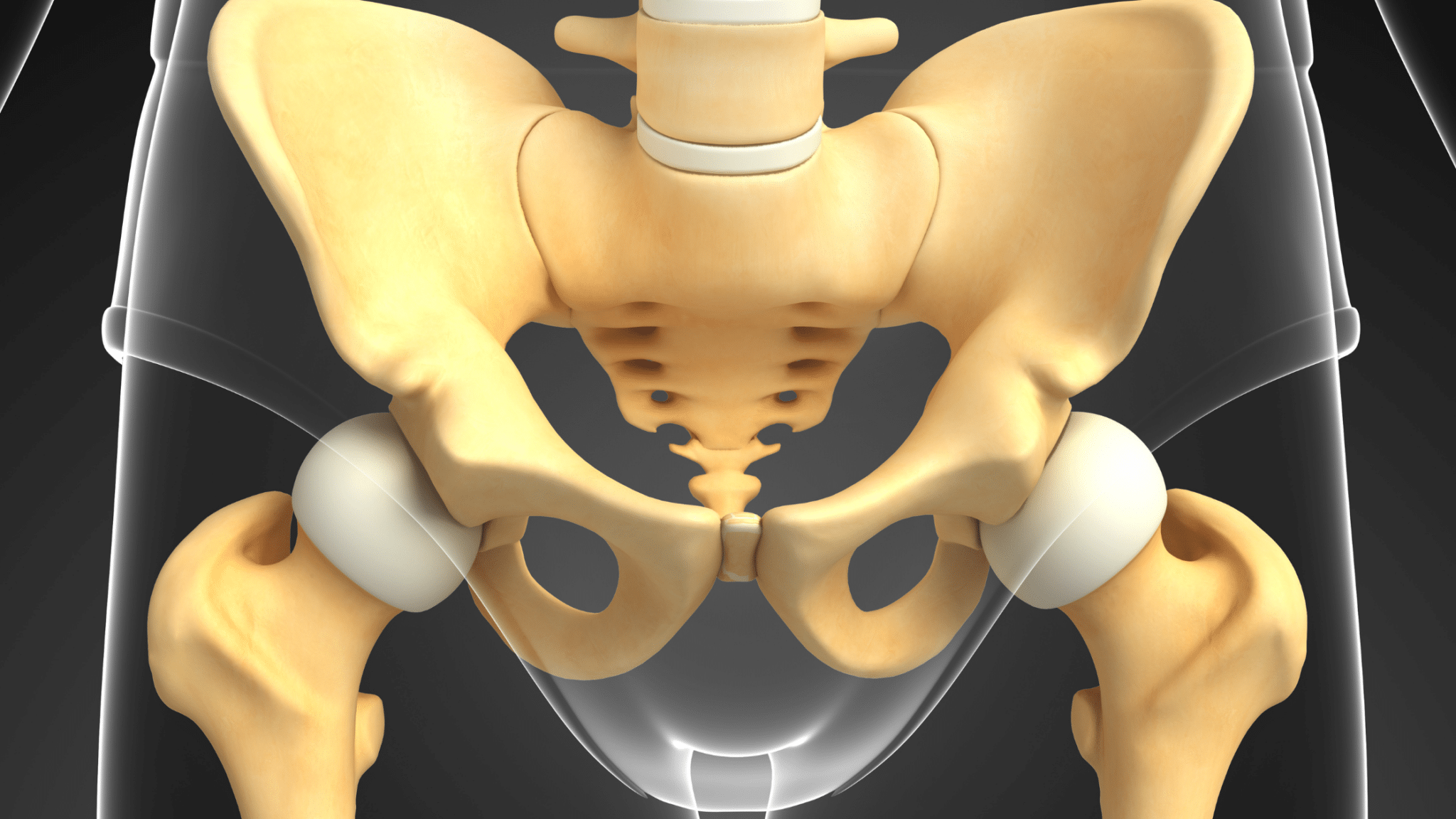 Hip Dysfunction The Hidden Link Between Hip Pain and Pelvic Floor Dysfunction - NYC